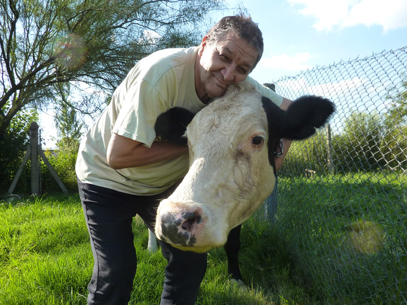 el hombre de la vaca lavaca