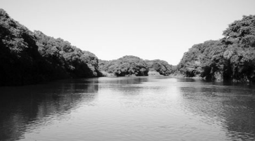 Río Clarín