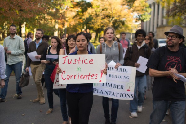 Harvard: reclamo contra las inversiones de la universidad en monocultivos en el Iberá