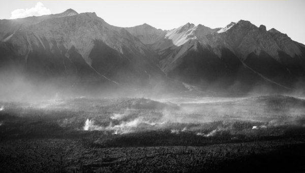 Imágenes de las consecuencias del incendio en el cerro Cholila, junto al arroyo Pedregoso.
