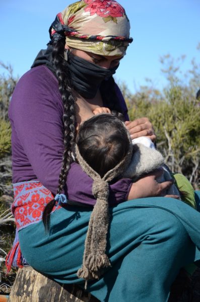 Violento desalojo a una comunidad mapuche en Esquel: «Se llevaron a mujeres y niños a la rastra»