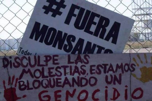 Planta de Malvinas en venta: la vida sin Monsanto