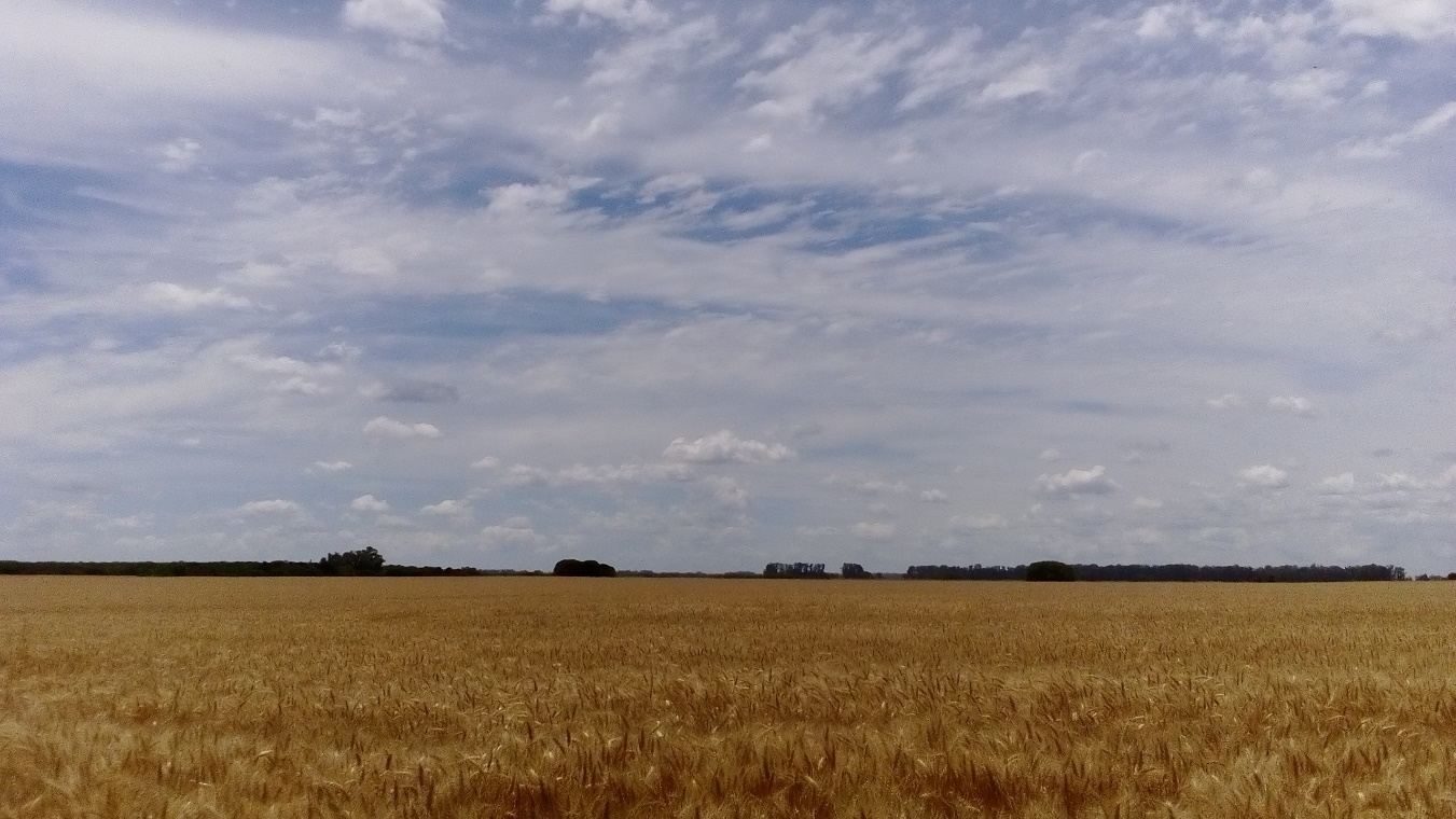 Deuda externa, deuda ecológica y sobreexplotación humana y natural: donde pierde la vida y gana el dinero