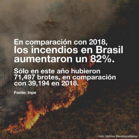 Amazonas en llamas: el incendio neoliberal