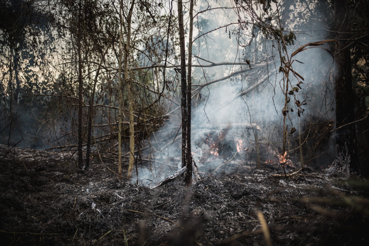 #MuEnAmazonas | Así arde