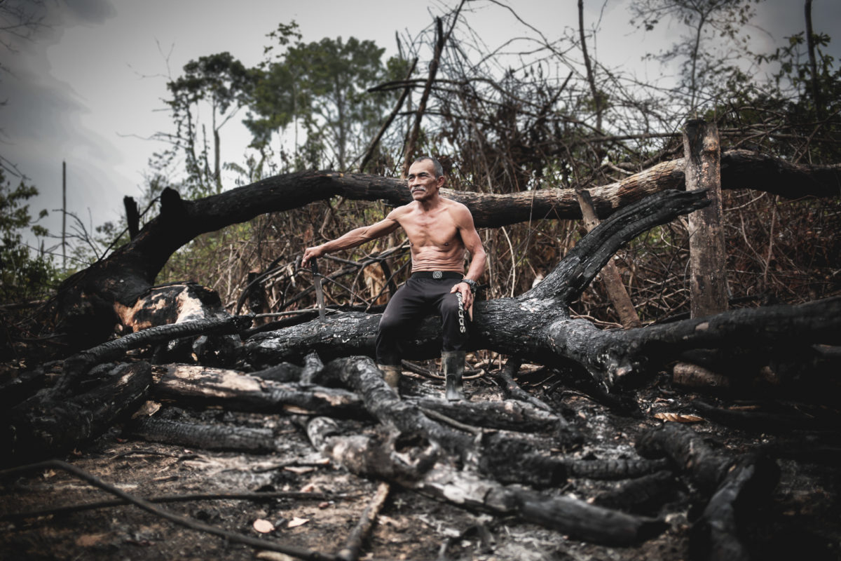 MU en Brasil: Arde Amazonas