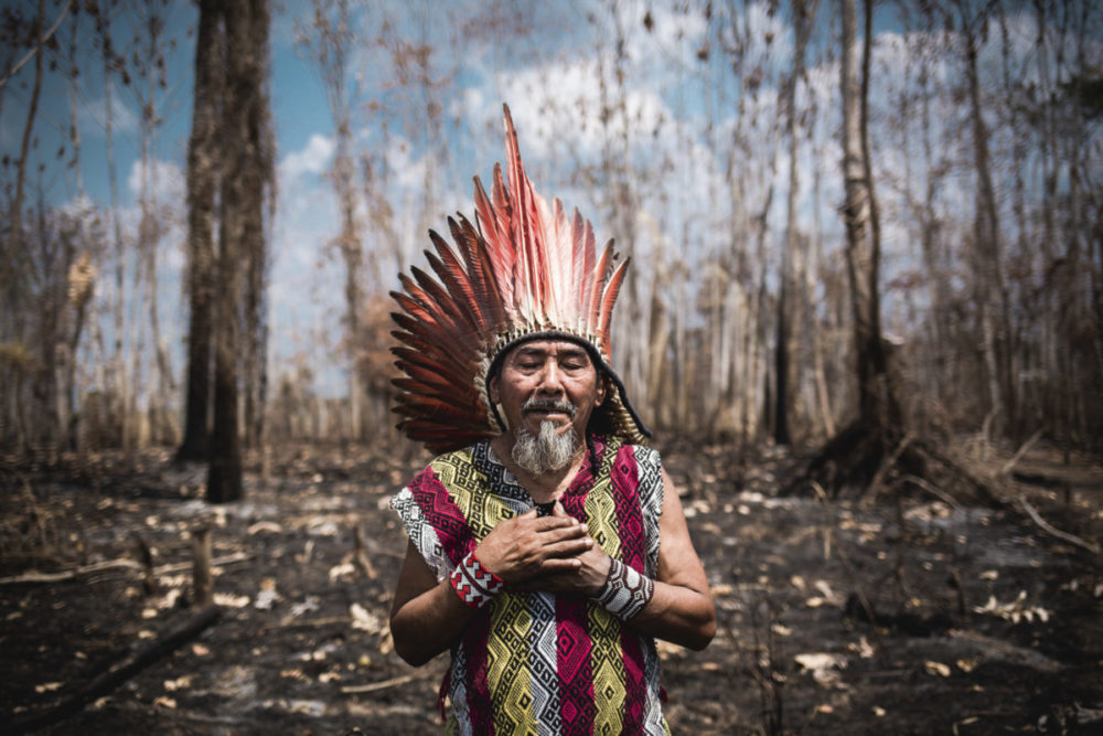 Amazonas: las cenizas