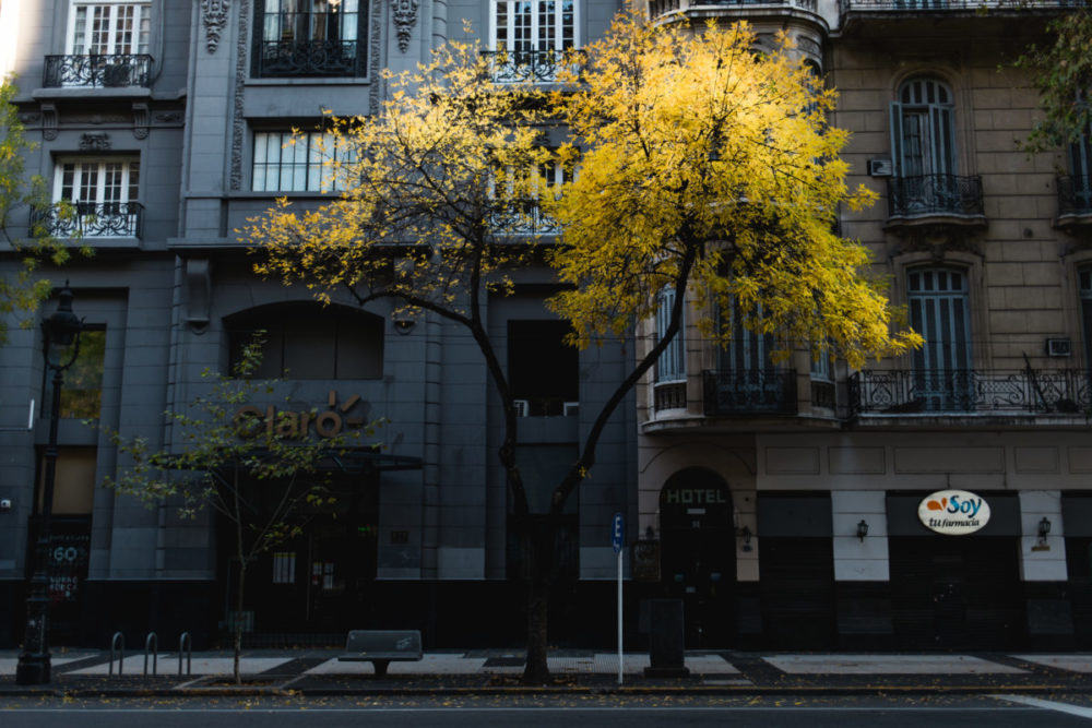 Buenos Aires y un mes sin nosotres: La ciudad que nos espera