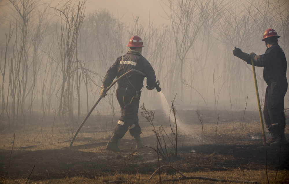 Los gobiernos, las corporaciones y algunas claves para entender los incendios argentinos