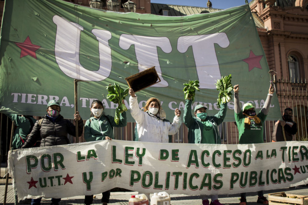 Acceso a la tierra y agroecología: la Plaza se transformó en la Huerta de Mayo