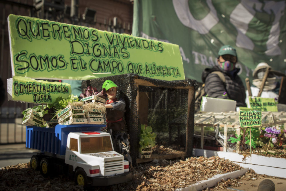 Acceso a la tierra y agroecología: la Plaza se transformó en la Huerta de Mayo