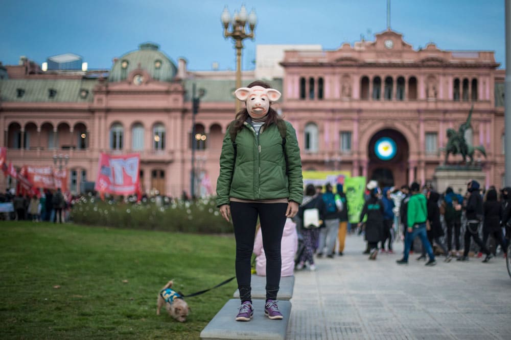 La guerra del cerdo: el convenio entre Argentina y China