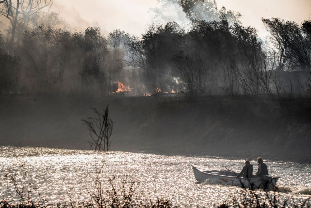 Todos los fuegos: el Delta en llamas