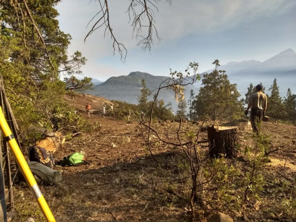 7.000 hectáreas de bosques nativos arrasadas en El Bolsón: el modelo sigue en llamas