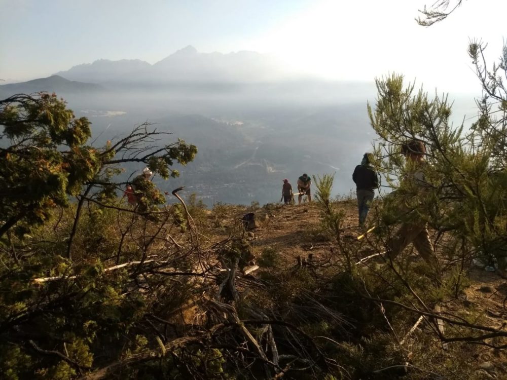 7.000 hectáreas de bosques nativos arrasadas en El Bolsón: el modelo sigue en llamas