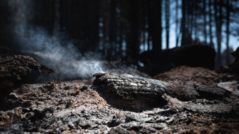 MU en Chubut: Lo que se pierde y lo que se transforma con el fuego